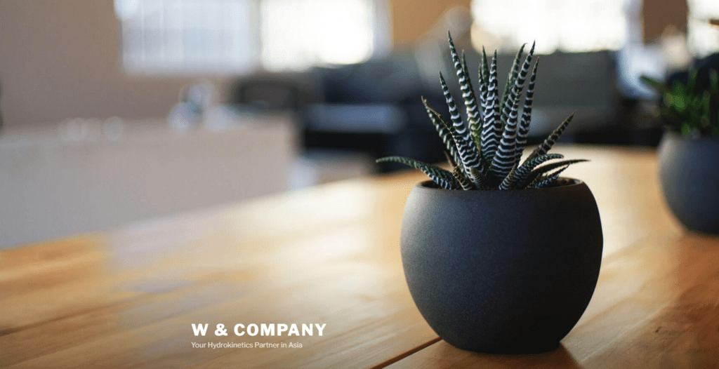 WUS Printed Circuit Co., Ltd.