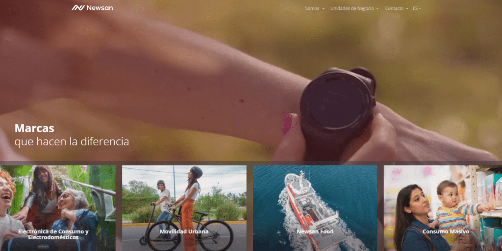 Grupo Newsan